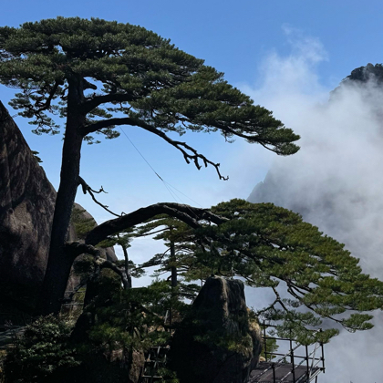 黄山之约（保持热爱，奔赴山海） 群聊头像