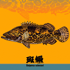 乐山鳜鱼搭子🎣 群聊头像