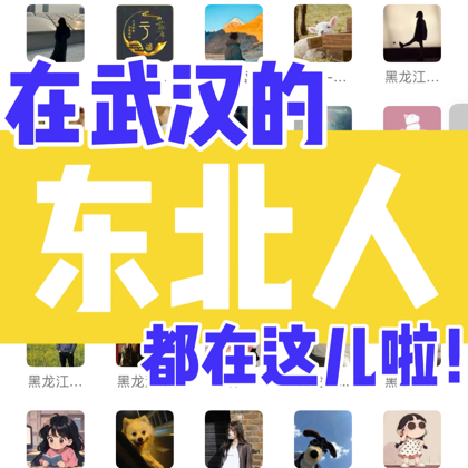 东北人在武汉 群聊头像