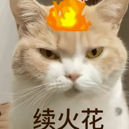 养火花的 群聊头像