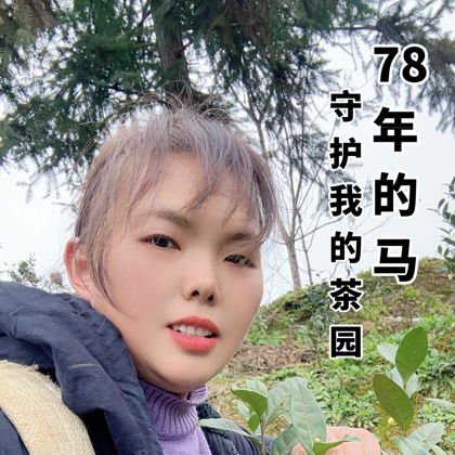 茶娘农村生活群 群聊头像