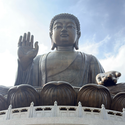 流浪动物救助群 群聊头像