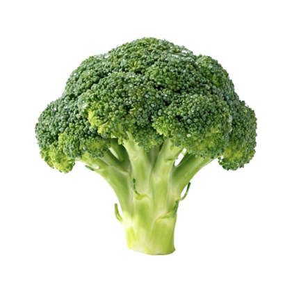 减脂交流群 群聊头像