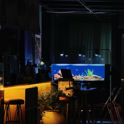 山子水族交流群2 群聊头像