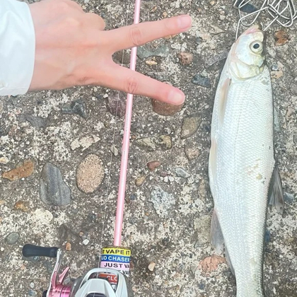 溪流 野钓🎣🎣钓友群 群聊头像