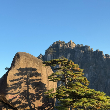 青山赴约 群聊头像