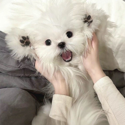 4️⃣图纸分享 群聊头像