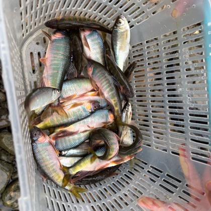 溪流钓1 群聊头像