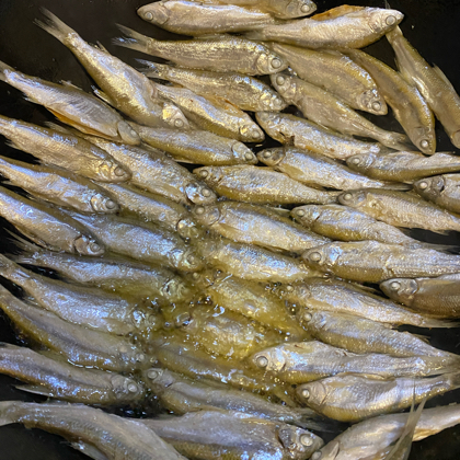 长沙钓鱼地点分享 群聊头像