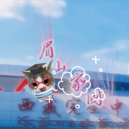 西藏完中校园墙 群聊头像