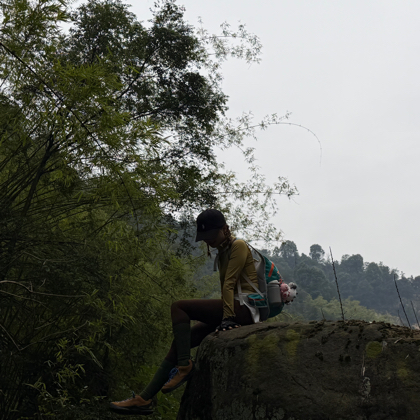 小羊羔搭子群 群聊头像