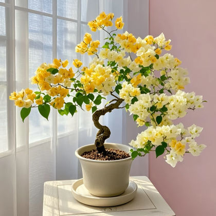 🌸小刘爱养花日常养护1 群聊头像