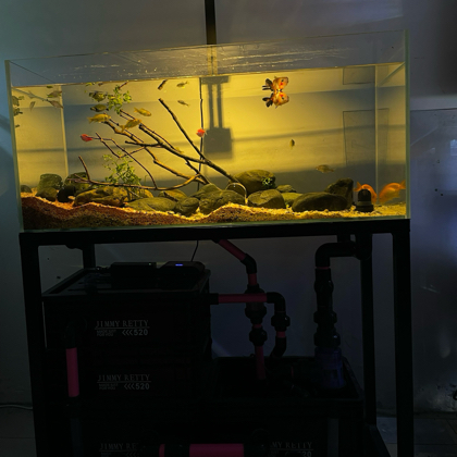 各地养鱼 🐟 交流群 群聊头像