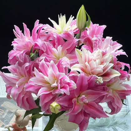 庭院花园花友交流群 群聊头像