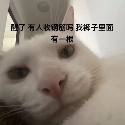 城乡抖音群 群聊头像
