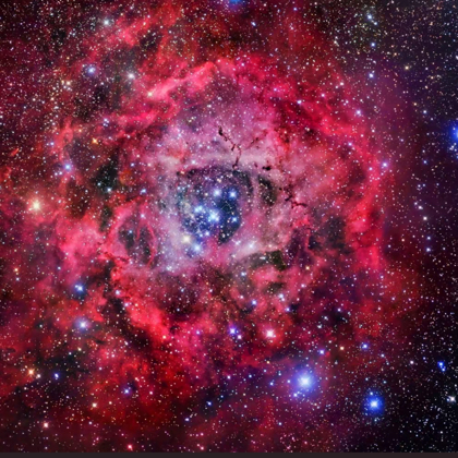 玫瑰星云 群聊头像