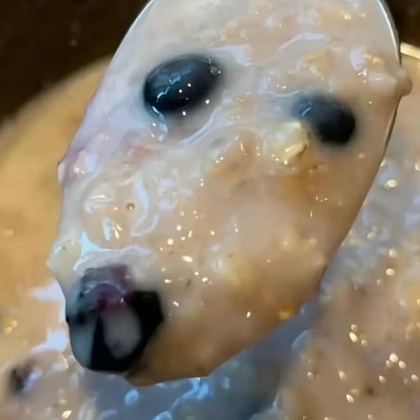 贝灵顿梗 群聊头像