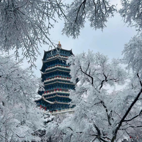东北人在重庆 群聊头像