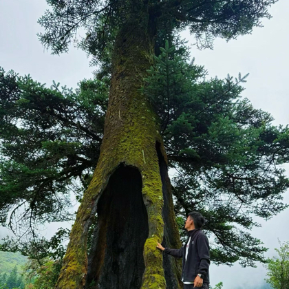 阿海的小伙伴们 群聊头像