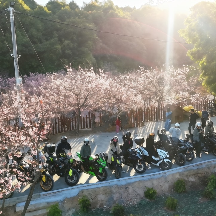福建摩友滴滴🏍️2群 群聊头像