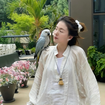 沈阳Lily手养鹦鹉 群聊头像