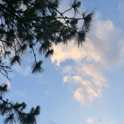贵州黔西南老乡进 群聊头像
