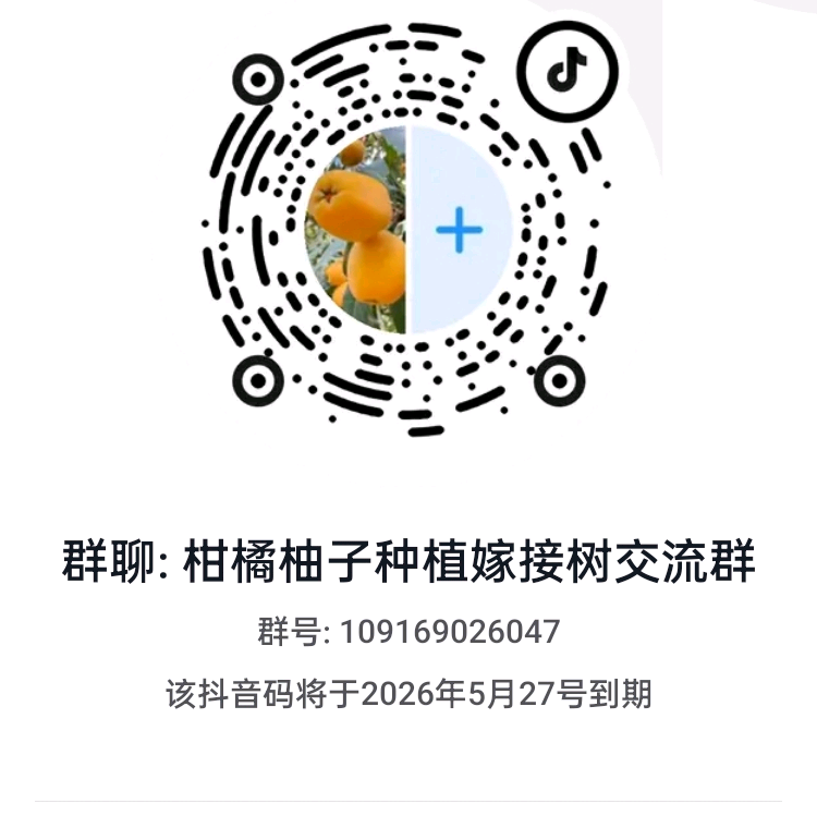 柑橘柚子种植嫁接树交流群 群聊头像