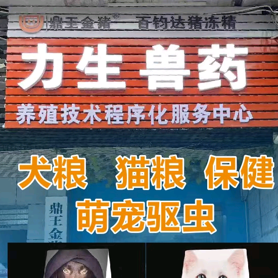 达州爱宠交流群 群聊头像