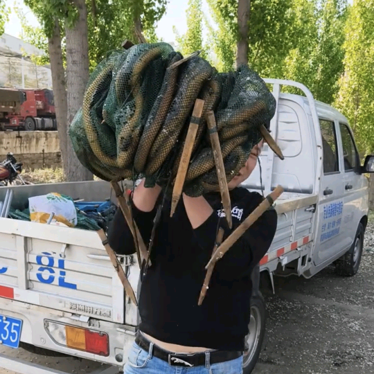 苏北户外逮鱼摸虾 群聊头像