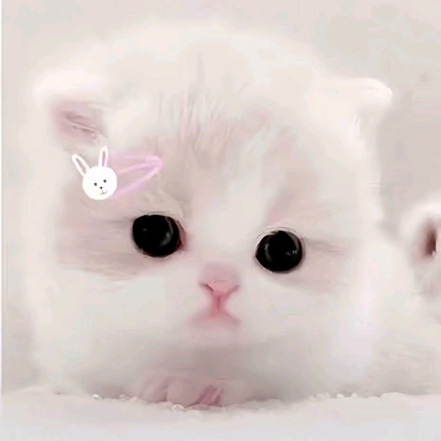 预约蹲踢^o^ 群聊头像