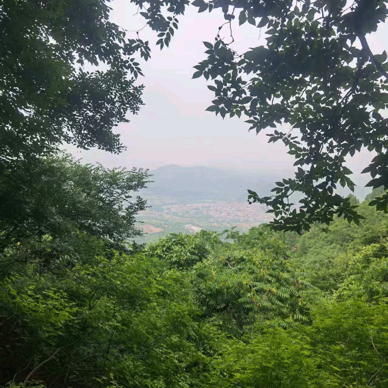 新手小白踏板摩托群 群聊头像