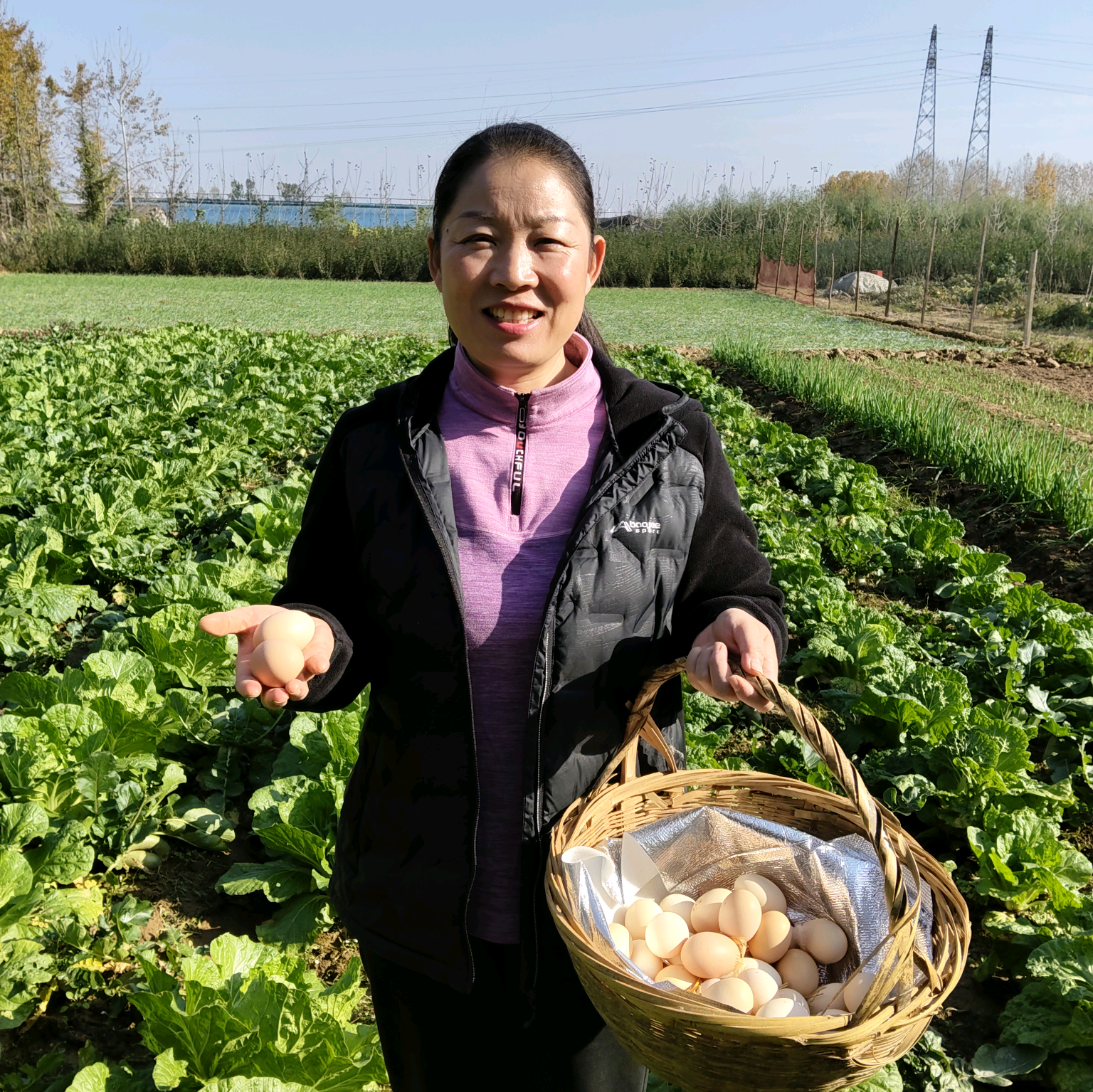 郯城咸嫂养鸡种菜分享群 群聊头像