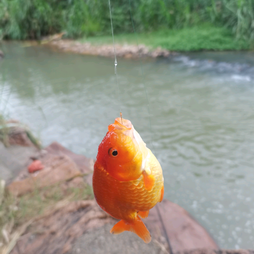 摸鱼养鱼交流群 群聊头像