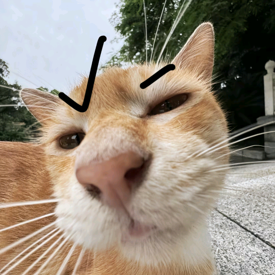 过期鱼罐头 群聊头像