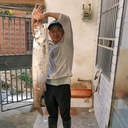🦈路亚野钓交流群🎣 群聊头像