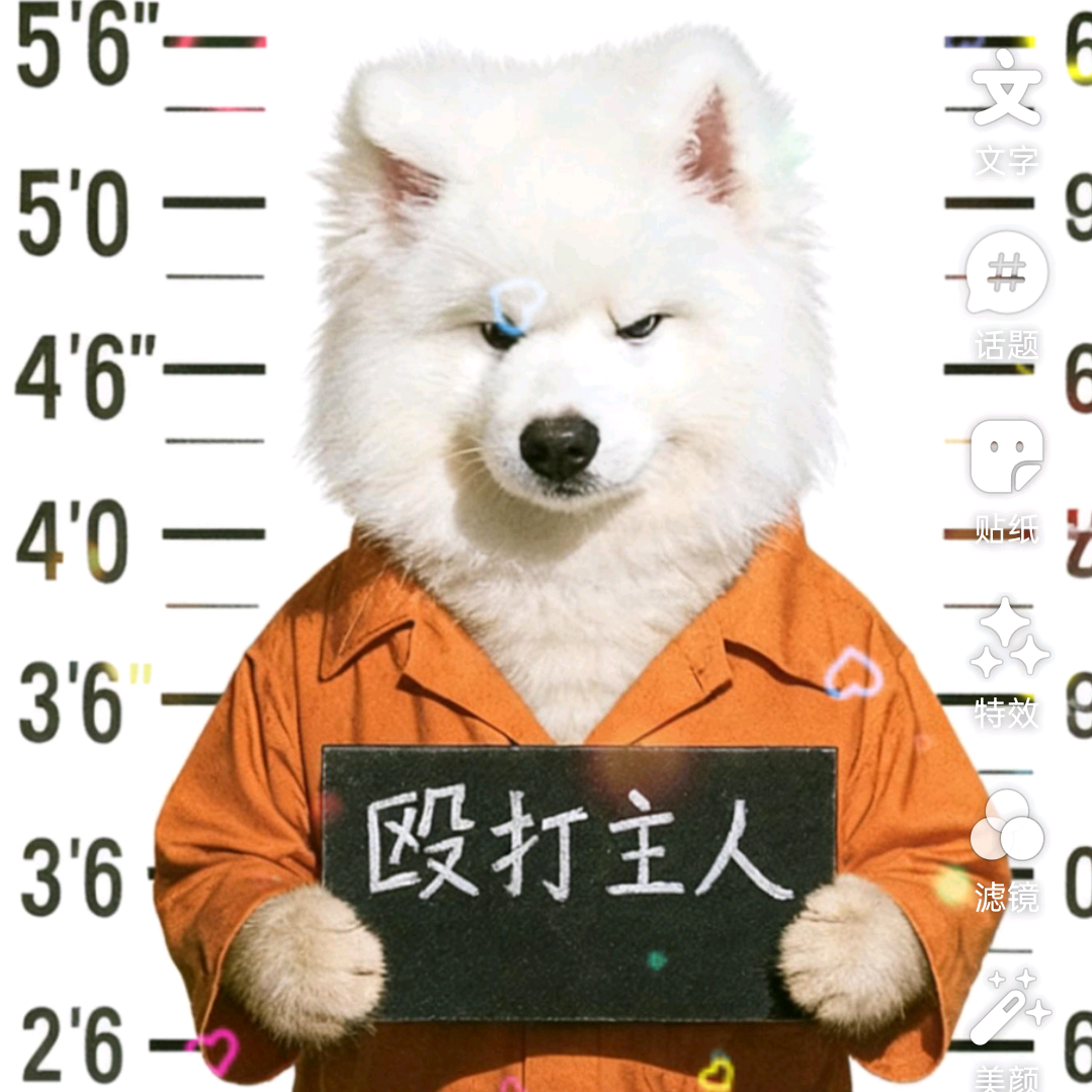 宠物交流群 群聊头像