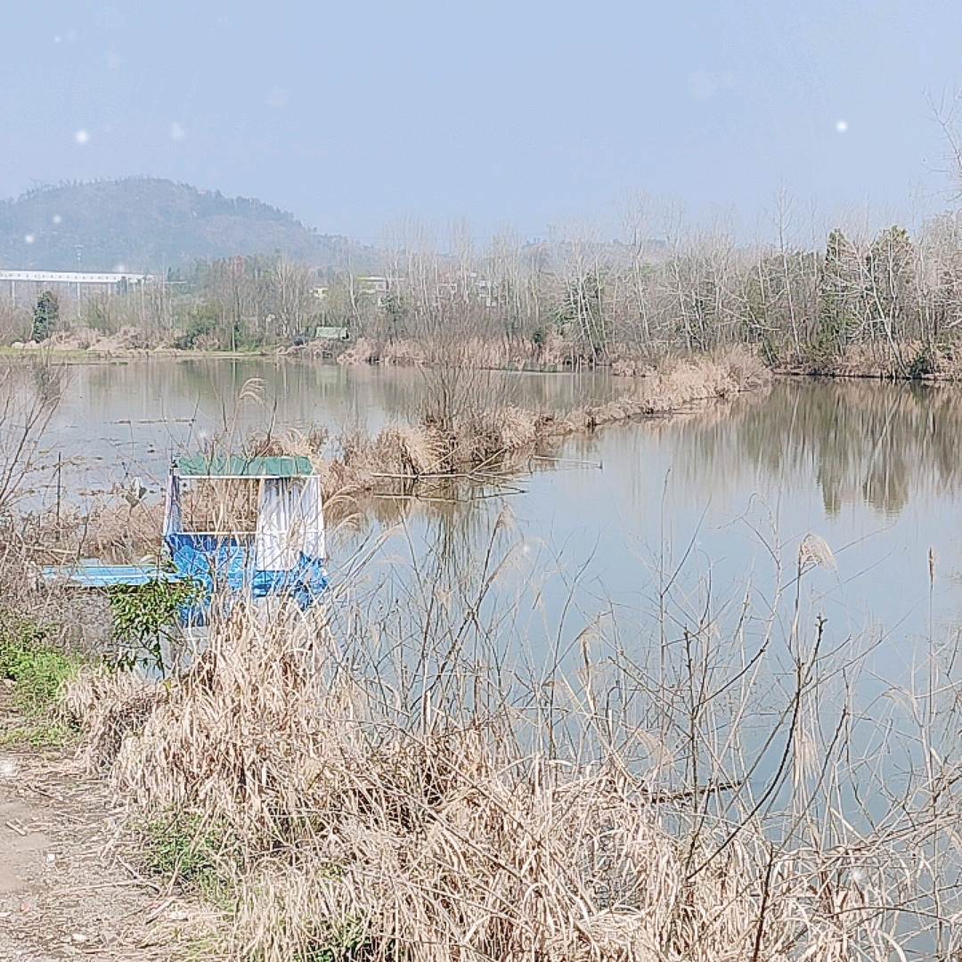 马湖李岸农场野生钓鱼场 群聊头像