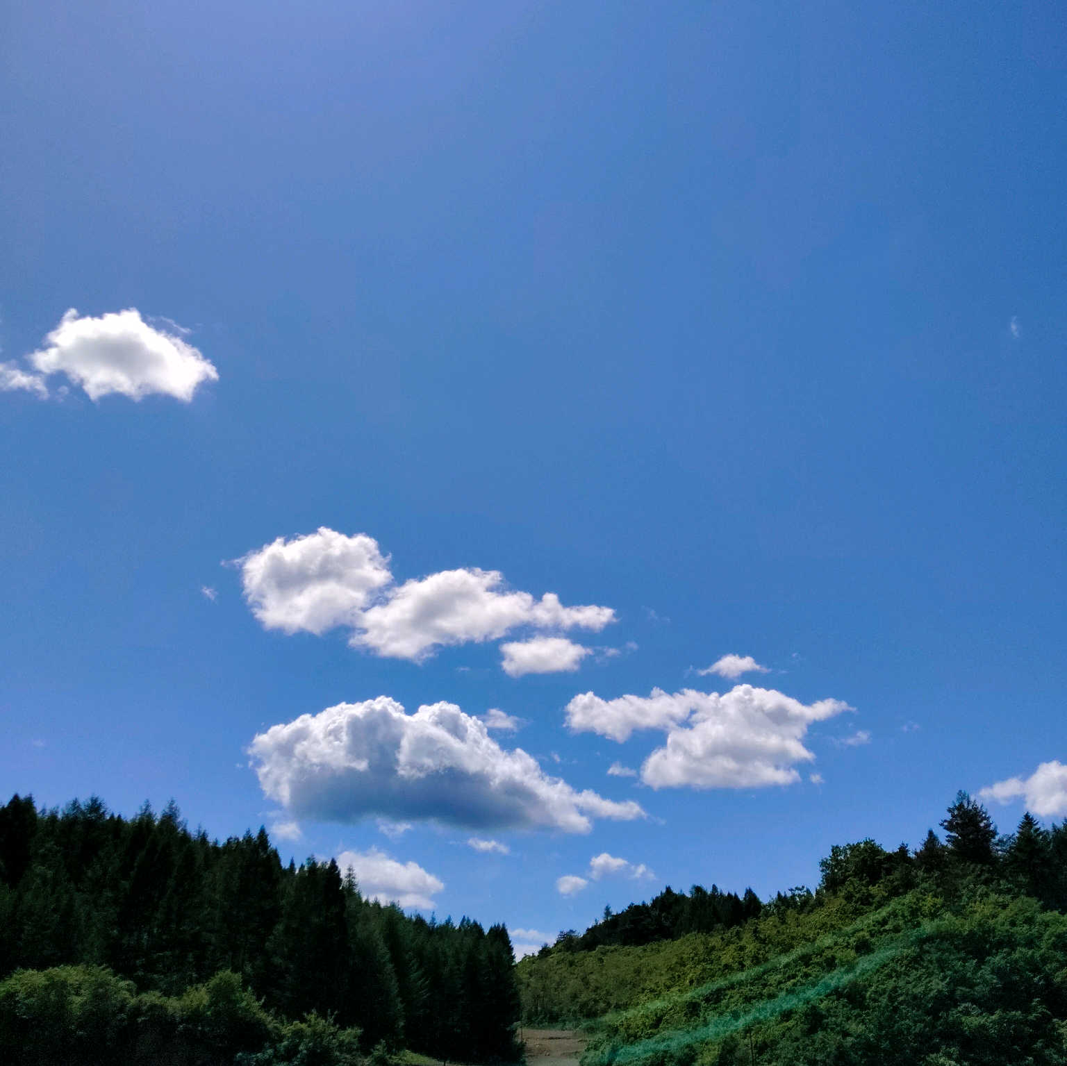 露营游玩地导 群聊头像