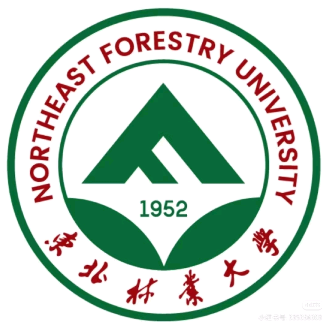 东北林业大学26级新生群 群聊头像