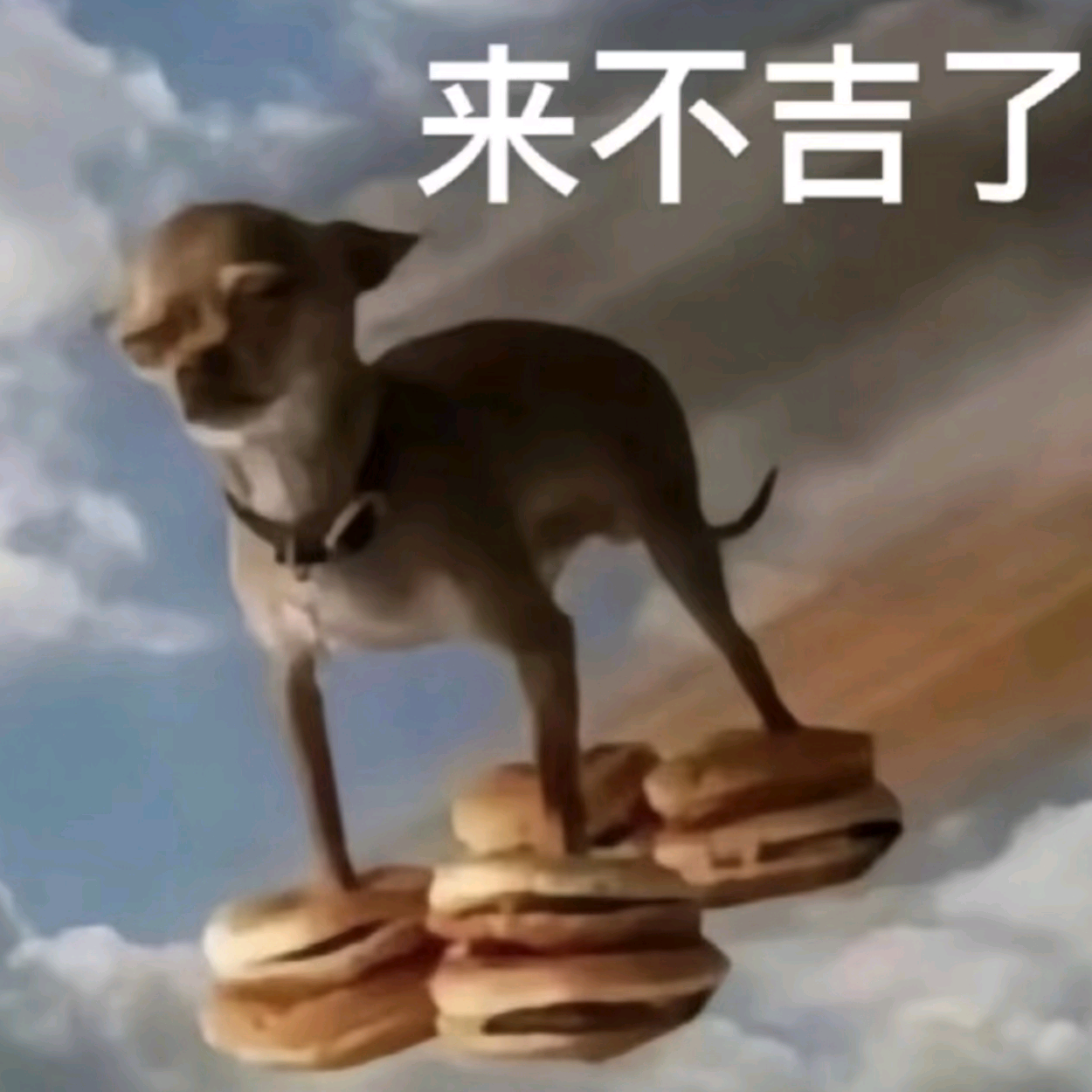薯条贝塔🍟 群聊头像