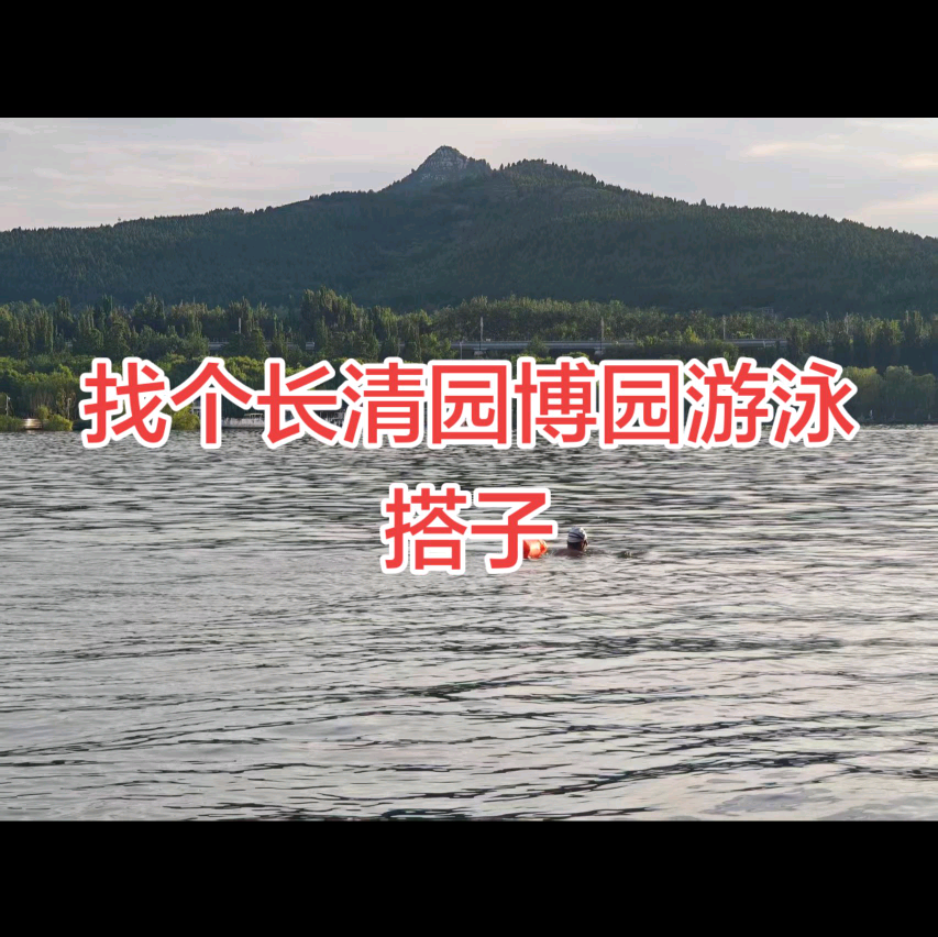 园博园游泳户外群 群聊头像