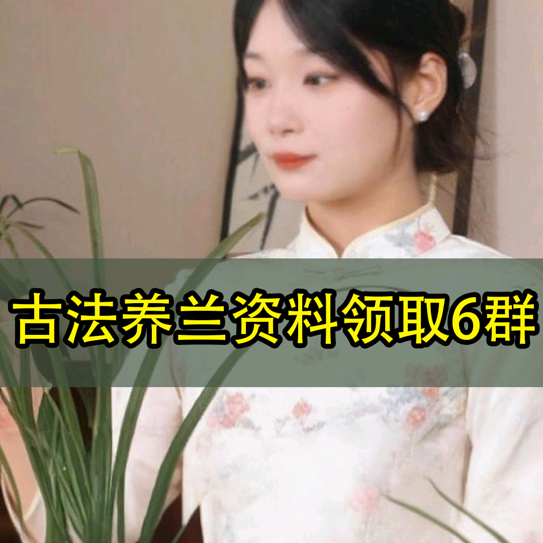 兰艺国兰—养兰资料领取6群 群聊头像