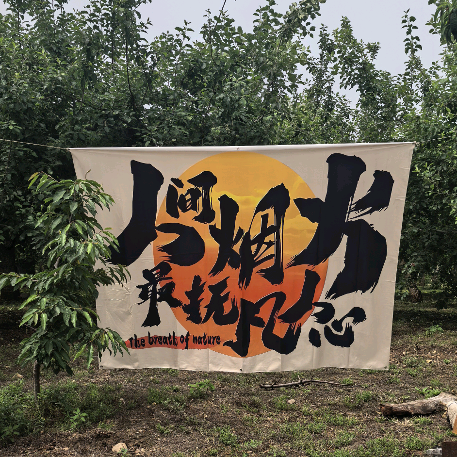 宝鸡同乡群 群聊头像