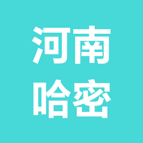 河南人在新疆哈密1群 群聊头像