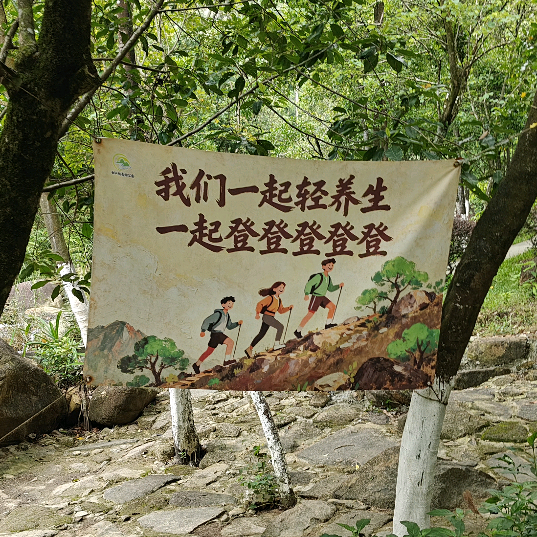 东莞遛娃爬山搭子 群聊头像