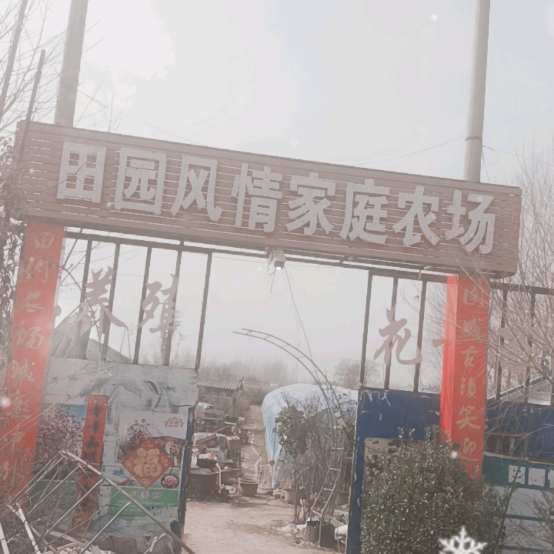 于镇田园情花卉基地 群聊头像