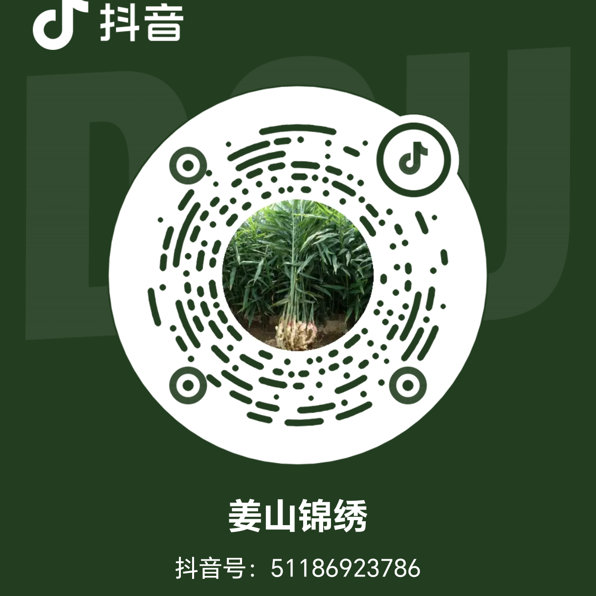 大姜种植技术交流服务群 群聊头像