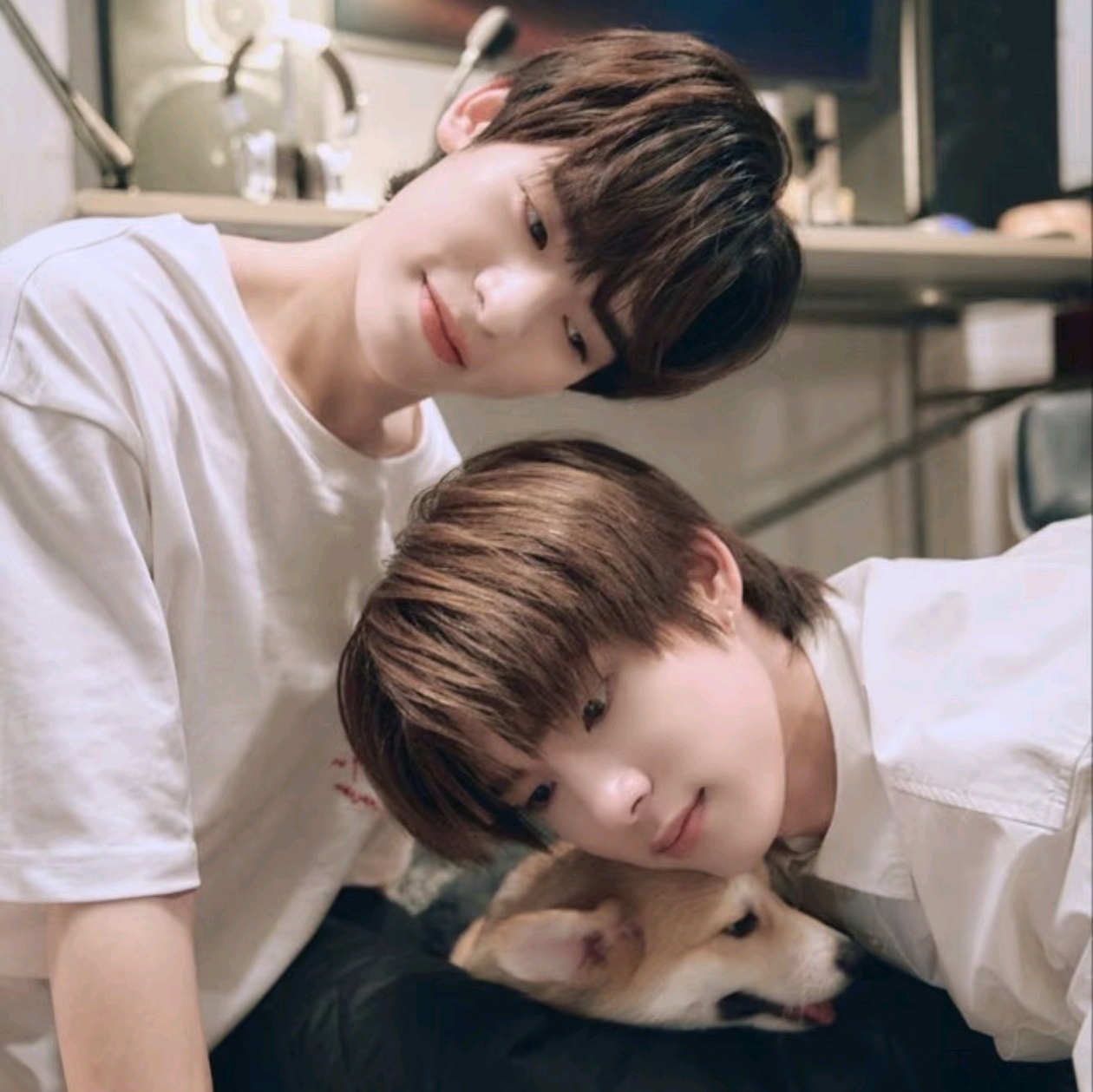 vava🐶🐼屋 群聊头像