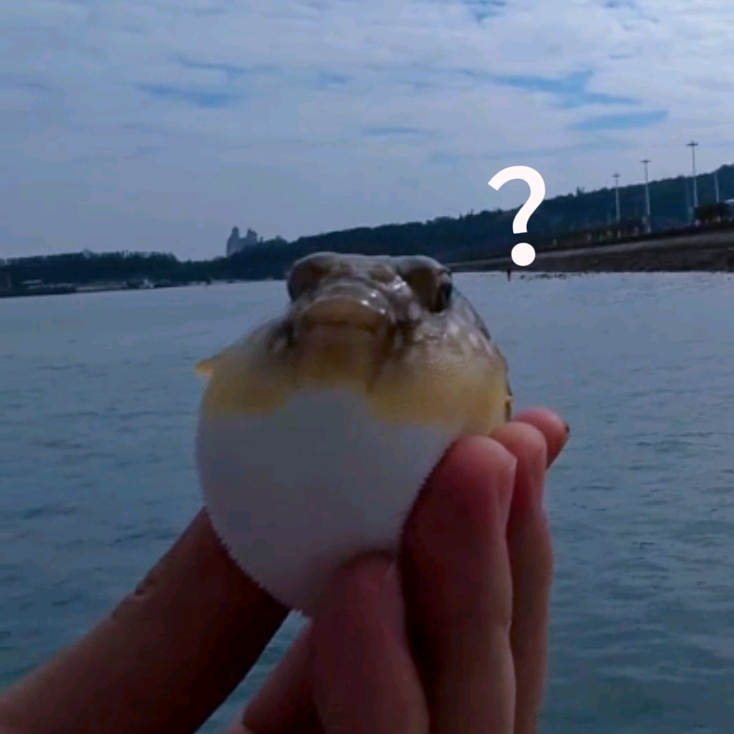 北海海钓交流群 群聊头像