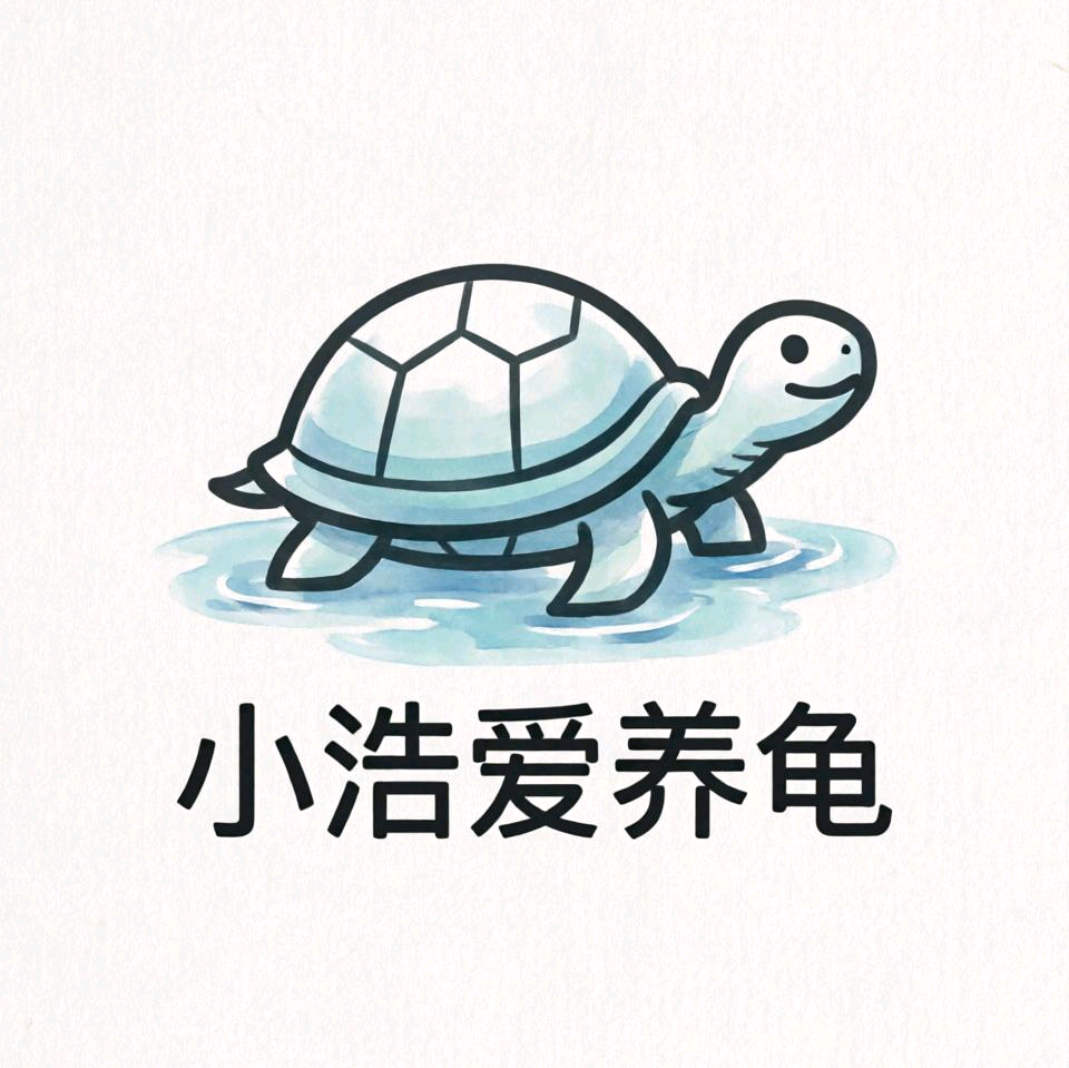 小浩养龟交流群 群聊头像